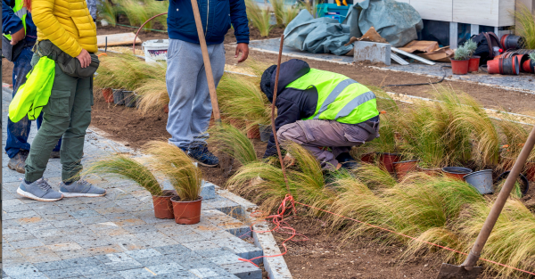 workers planting in a flower bed
